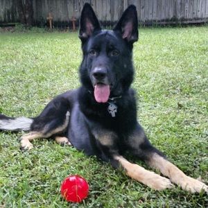 Meet your Posher, Sharon